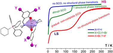 Graphical abstract: Dihalogen-substituted [MnIII(3,5-diHal-sal2323)]BPh4 salts: so similar but so different