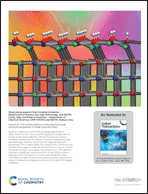 Graphical abstract: Back cover