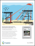 Graphical abstract: Back cover