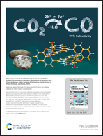 Graphical abstract: Back cover