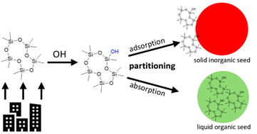 Graphical abstract: Secondary organic aerosol formation from early-generation oxidation products of decamethylcyclopentasiloxane depends on seed aerosol composition