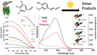 Graphical abstract: Wavelength-resolved quantum yields for phenolic carbonyls in acidic solution: molecular structure effects on brown carbon photochemistry