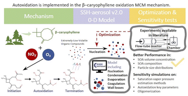 Graphical abstract: Modeling secondary organic aerosols from β-caryophyllene: role of extremely low-volatile organic compounds on new particle formation and evaluation of the SOA composition