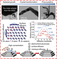 Graphical abstract: Resolving the true origin of mossy morphology in aqueous Zn batteries