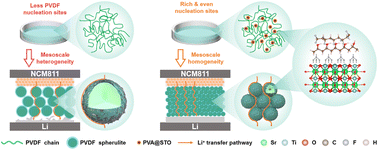 Graphical abstract: Mesoscale polymer regulation for fast-charging solid-state lithium metal batteries