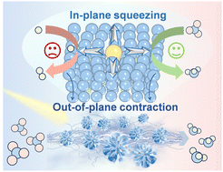 Graphical abstract: Dual strain regulated RhNiAu trimetallene for efficient plasmonic-promoted acidic nitrate electroreduction