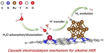 Graphical abstract: Cascade electrocatalysis via integration of ruthenium clusters and yttrium single atoms for a boosted alkaline hydrogen evolution reaction