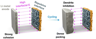 Graphical abstract: A repulsive anode interface for high-energy and safe lithium metal batteries