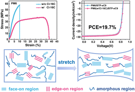 Graphical abstract: Stress-dissipative strong bimodal molecular packing towards efficient and highly stretchable organic photovoltaics