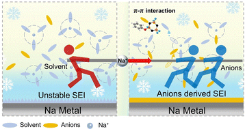 Graphical abstract: Manipulating anion solvation competitiveness via a multifunctional additive toward robust low-temperature sodium metal batteries