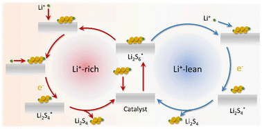 Graphical abstract: Synergetic insights into Nb single atoms and lithiophilic support for high-efficiency sulfur catalysis in Li–S batteries