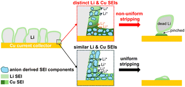 Graphical abstract: Origin and mitigation of premature dead Li formation at the current collector interface in high energy batteries