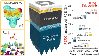 Graphical abstract: Tailored self-assembled monolayer molecules for perovskite/PERC tandem solar cells with efficiencies over 30%