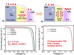 Graphical abstract: Interface parallel dipole regulation in all-perovskite tandem solar cells