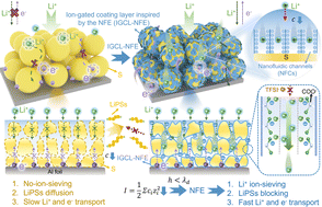 Graphical abstract: Nanofluidic-enhanced high-mass-loading electrodes for energy-dense and high-rate lithium–sulfur batteries
