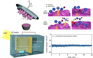 Graphical abstract: Efficient solar-driven hydrogen peroxide production enabled by a perovskite electrochemical device integrated with a cobalt-based chiral catalyst