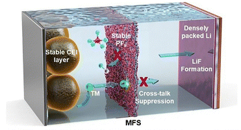 Graphical abstract: Molecularly engineered membrane-driven interphase stabilization of electrodes for Li||NCM811 cells under practical operating conditions