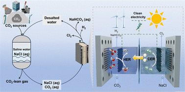 Graphical abstract: SO2-tolerant electrochemical CO2 capture and NaHCO3 conversion enabled by saline water electrolysis