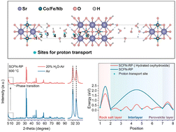 Graphical abstract: The interlayer proton capture and transport mechanism in oxygen electrodes boosts proton ceramic electrolysis