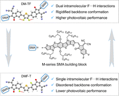 Graphical abstract: Conformational locking through intramolecular F⋯H interactions in dimerized M-series acceptors boosts efficiency and stability of organic solar cells