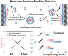 Graphical abstract: Surfactant-mediated mesoscopic confinement and selective interfacial shielding for highly stable zinc anode