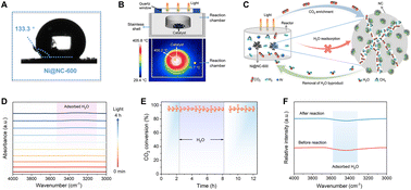 Graphical abstract: Superbasic CO2-concentrating layer-protected nickel catalyst for solar CH4 synthesis via direct air capture