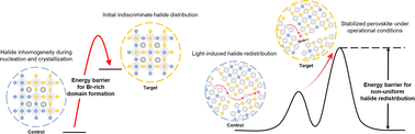 Graphical abstract: Thermodynamic inhibition of bromine-rich phase nucleation in wide-bandgap perovskites for operationally stable tandem solar cells