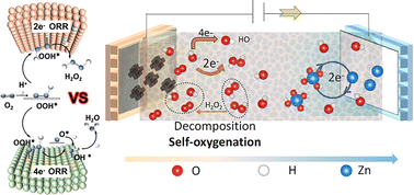 Graphical abstract: The 2e− vs. 4e− pathways for ORR in rechargeable zinc–air batteries