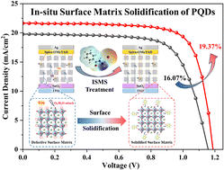Graphical abstract: In situ surface matrix solidification of FAPbI3 perovskite quantum dots for solar cells with 19.37% efficiency