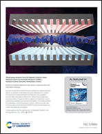 Graphical abstract: Back cover