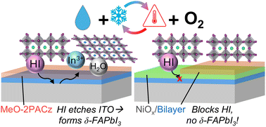 Graphical abstract: Hole-transport layer-dependent degradation mechanisms in perovskite solar modules
