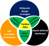 Graphical abstract: Tailoring interfacial energetics in perovskite/silicon tandem solar cells: the converging roles of self-assembled monolayers and dipolar interlayers