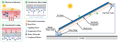 Graphical abstract: Self-adaptive interfacial cooling for sustainable energy–water cogeneration in photovoltaics