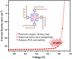 Graphical abstract: Porphyrin bridged SnO2/active layer for efficient and stable inverted organic solar cells