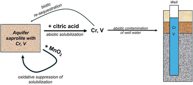 Graphical abstract: Impact of labile organic carbon and manganese oxide on chromium and vanadium subsurface mobility: evidence from laboratory incubation experiments