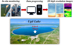 Graphical abstract: In situ high-resolution characterization of phosphorus–iron–sulfur dynamics across the sediment–water interface of a typical cold-arid lake (Ugii Lake, Mongolia)