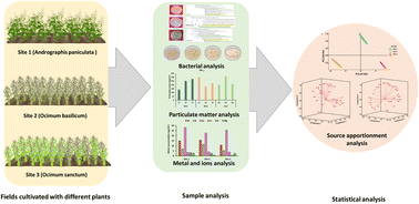 Graphical abstract: Characterization and source apportionment of particulate matter and associated culturable bacterial bioaerosols at sites cultivating aromatic and medicinal plants