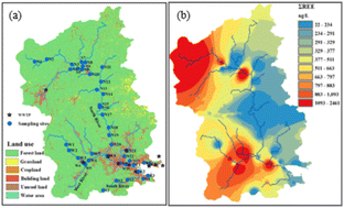 Graphical abstract: Occurrence, ecological impact, and exposure risk of emerging contaminant REEs in a coastal river