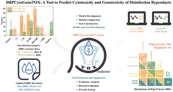 Graphical abstract: Development of models and a tool (DBPCytoGenoTOX Predictor) for predicting the cytotoxicity and genotoxicity of disinfection byproducts