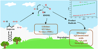 Graphical abstract: Atmospheric oxidation of hydroxymethyl methyl α-lactone (HMML), initiated by OH radicals and Cl atoms