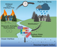 Graphical abstract: Surface water microbiome response to pyrogenic carbon after a wildland–urban interface fire