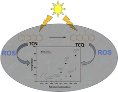 Graphical abstract: Hydrophobic model systems for oil film photooxidation: part I: sensitizer effects on hydrocarbon photodegradation