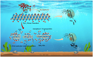 Graphical abstract: Enzyme-driven biodegradation of Ti3C2 MXene: unveiling peroxidase-mediated pathways and enhanced bioaccumulation risks in aquatic systems
