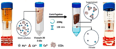 Graphical abstract: “Green” carbon dots from coffee waste for adsorption of xenobiotic and trace heavy metals in both aquatic and physiological media