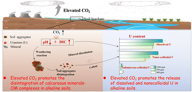 Graphical abstract: Alkaline soil disintegration and organic nanocolloidal-dissolved U release under IPCC-based elevated CO2 conditions with global environmental risk implication