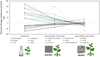 Graphical abstract: Melatonin-functionalized zinc oxide nanoparticles enhance salt stress tolerance in Vigna mungo L. by regulating antioxidants and ion homeostasis