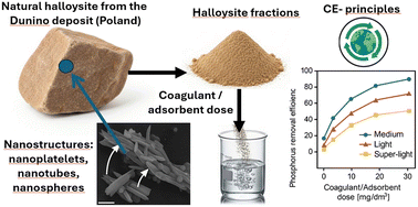 Graphical abstract: Unrefined aluminosilicate-based coagulants and sorbents for effective removal of phosphorus from wastewater: employment of natural halloysite nanostructures in the intensification of a multi-mechanism process