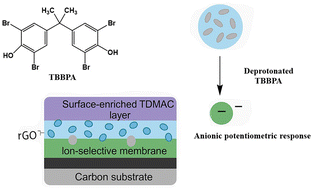 Graphical abstract: Functionalized asymmetric PVC membrane with molecularly imprinted beads for potentiometric sensing of tetrabromobisphenol A (TBBPA)