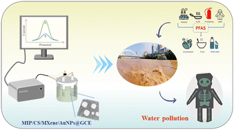 Graphical abstract: Molecularly imprinted sensor based on CS/MXene/AuNPs synergy for ultra-trace detection of PFOS in water