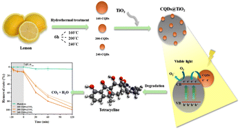 Graphical abstract: Effect of synthesis temperature on lemon juice-derived carbon quantum dots: valorization into TiO2 composites for tetracycline removal
